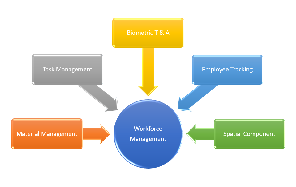 Workforce Matrix